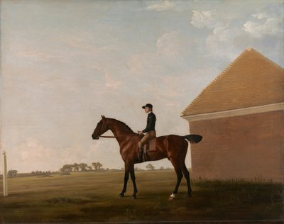 Turf, med Jockey oppe, på Newmarket av George Stubbs