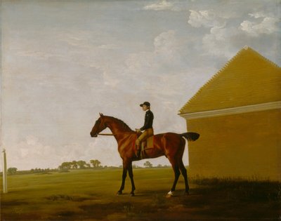  av George Stubbs