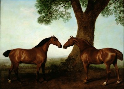 Two Bay Hunters by a Tree, 1786 av George Stubbs
