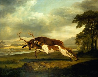 Ukjent bilde av George Stubbs