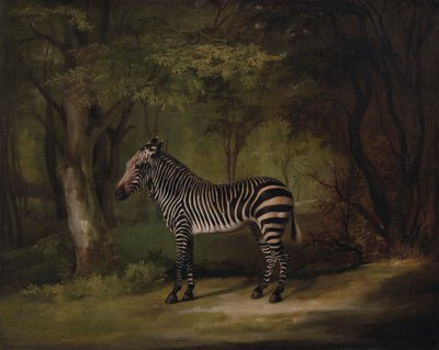 Sebra av George Stubbs