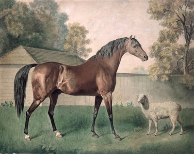 'Dungannon' (akvarell på papir) av George Townley Stubbs