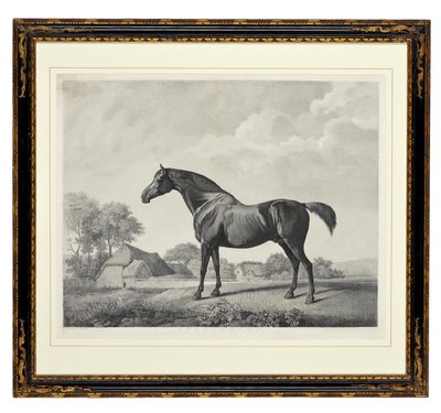 Sweetbrier (stippgravering) av George Townley Stubbs