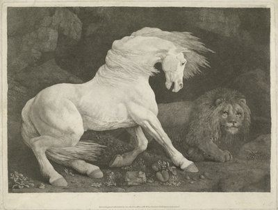 The Horse and the Lion, 1770 (mezzotint) av George Townley Stubbs