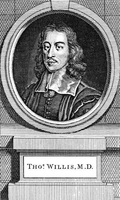 Thomas Willis, engelsk lege fra 1600-tallet, 1742 av George Vertue