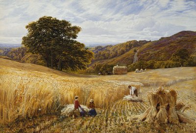 Høstetid nær Holmbury Hill, Surrey av George Vicat Cole