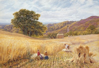 Høstetid nær Holmbury Hill, Surrey, 1865 (wc og kroppsfarge på papir) av George Vicat Cole