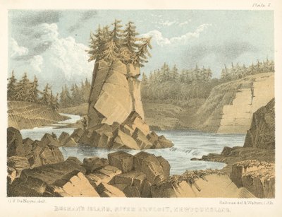 Buchans øy, elveutnyttelsen, Newfoundland (farget gravering) av George Victor Du Noyer