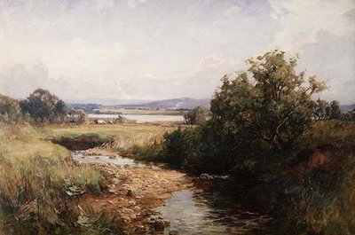 En skotsk Burnside av George Whitton Johnstone