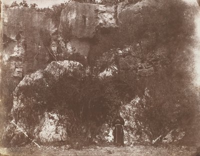 Garden of Selvia, Syracuse, Sicilia, 1846. av George Wilson Bridges
