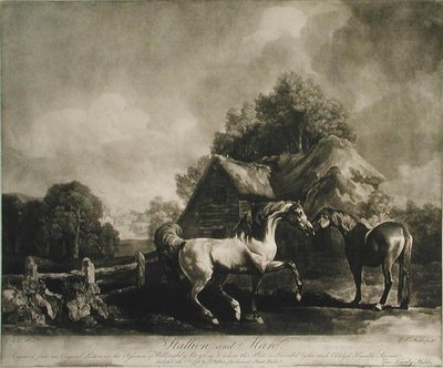 Stallion and Mare, gravert av George Townley Stubbs (1756-1815) 1776 (mezzotint) av George after Stubbs