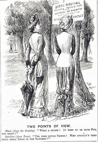 Tegneserie som kommenterer fuglebeskyttelsesloven 1880 av George du Maurier