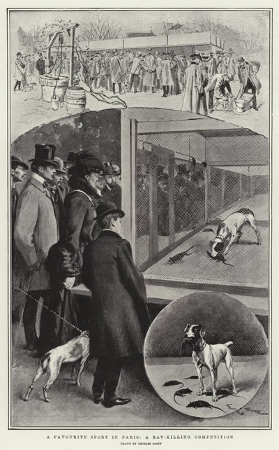 En favorittsport i Paris, en rottedrapskonkurranse av Georges Bertin Scott