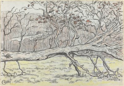 Feltet tre, Normandie av Georges Lacombe