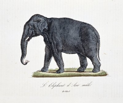 Naturhistorisk plate: Zoologisk kart som viser L