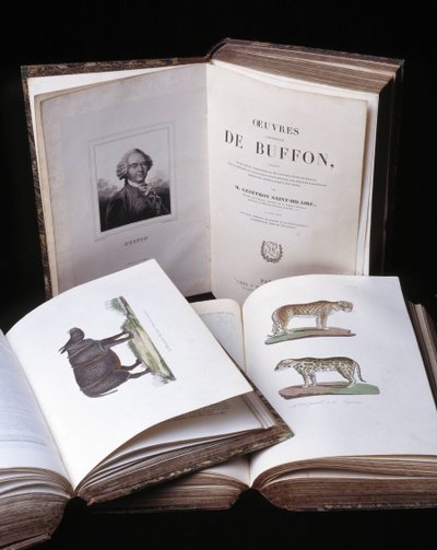 Stilleben av "Complete works of Buffon" av naturforsker Georges Louis Leclerc, greve av Buffon (1707 - 1788). Gravering fra 1837. av Georges Louis Leclerc