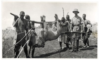Løve ved Bahr el Ghazal, Am Dafok, 1925 (gelatinsølvtrykk) av Georges Marie Haardt