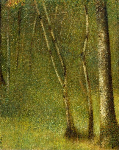Skogen ved Pontaubert, 1881. av Georges Pierre Seurat