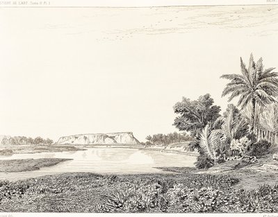 Irak, utsikt over Babylon, tegning av F, Thomas fra gravering av Georges Perrot (1832-1914) og Charles Chipiez (1835-1901), Histoire de l