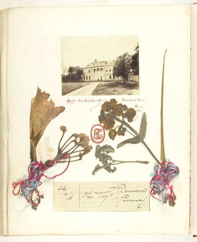 Uten navn av Georgina Cowper