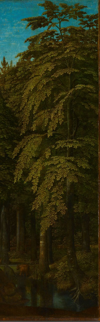Ytre høyre fløy av en triptyk med utsyn mot en skog av Gerard David