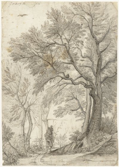 Forest of the Villa Madama utenfor Roma av Gerard ter Borch