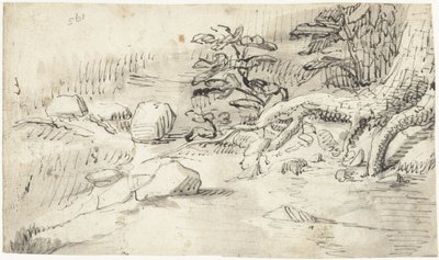 Studie av røttene til et tre nær en bekk av Gerard ter Borch (I)