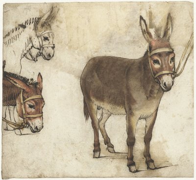 Studieark med esler av Gerard ter Borch (I)