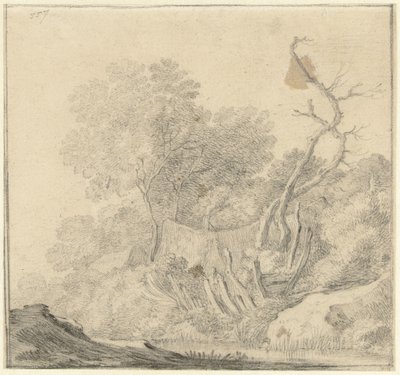 Hus mellom trær nær vann av Gerard ter Borch (II) (possibly)