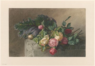 Stilleben med roser og kålblad av Gerardina Jacoba van de Sande Bakhuyzen