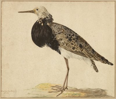  av Gerardus van Veen
