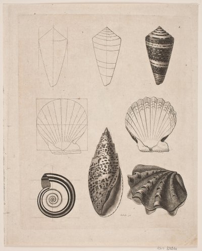 Tavle med snegler av Gerhard Ludvig Lahde