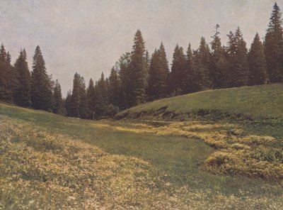  av German Photographer