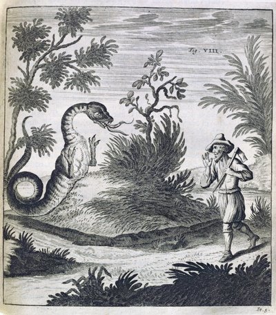 En fryktelig drage, ca. 1660 av German School