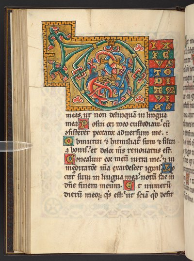 Legge til. 60629, f.43v Store innrammede initialer i gull og farger med foliate og noen ganger zoomorphic og antropomorphic ornament (vellum) av German School