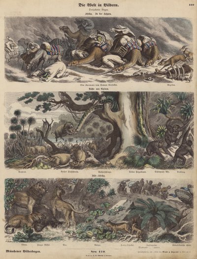 Afrika: en campingvogn fanget i en sandstorm i Sahara; kysten av Guinea; Sør-Afrika (farget gravering) av German School