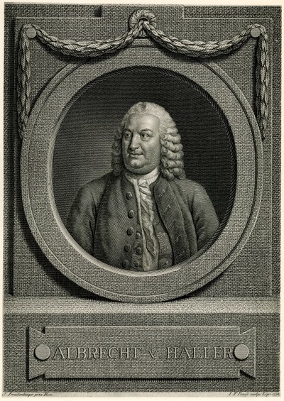 Albert von Haller av German School
