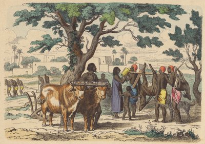 Gammel egyptisk bonde og jegere (farget gravering) av German School