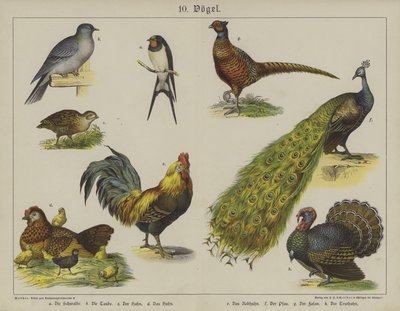 Dyr (farge litho) av German School