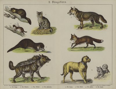 Dyr (farge litho) av German School