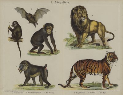 Dyr (farge litho) av German School