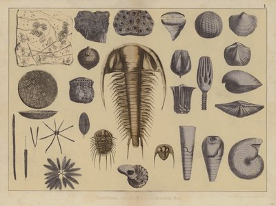 Dyr fra den tidlige paleozoiske epoken (farge litho) av German School