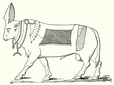Apis, hellig okse fra det gamle Egypt (gravering) av German School