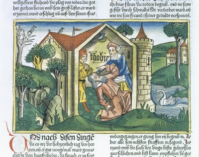 Apokryfer: Tobit er blendet av spurveskitt, fra Nürnbergbibelen (Biblia Sacra Germanaica) (farget tresnitt) av German School