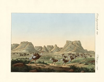 Område i Sør-Afrika ved Forland of Good Hope av German School