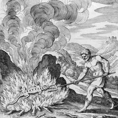 Brenner en salamander fra Musaeum Hermeticum av German School