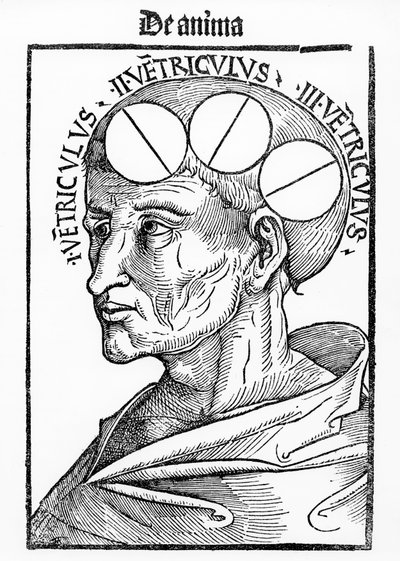 Cavities of the Brain, fra Philosophia Naturalis av Albertus Magnus, utgitt i Basel, 1506 av German School