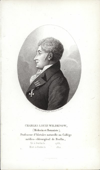 Charles Louis Wildenow av German School