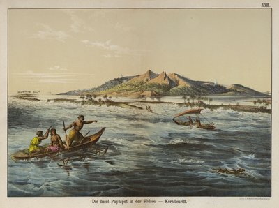 Korallrev utenfor Puynipet-øya (Pohnpei), Caroline Islands (farge litho) av German School