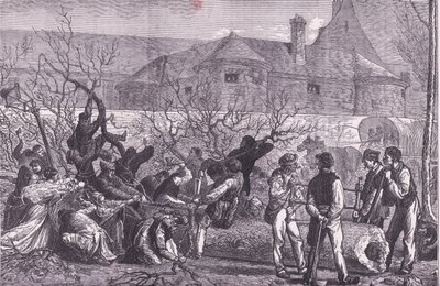 Kapping av trær rundt Paris for ved, Cassells History of the War between France and Germany utgitt av Cassell and Company Limited, ca. 1890 (litho) av German School